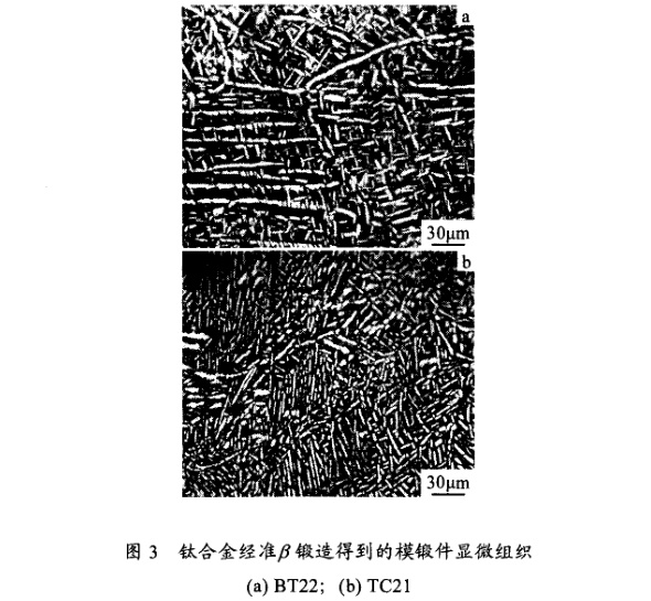 钛合金准β锻造得到的模锻件显微组织 钛合金准β锻造得到的模锻件显微组织