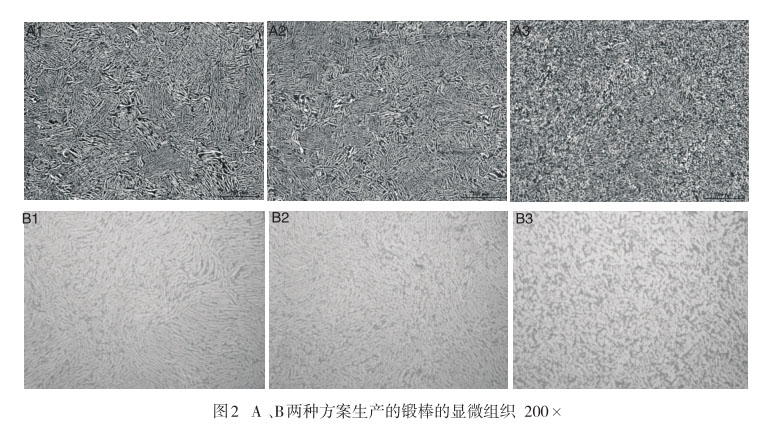 A 、B两种方案生产的锻棒的显微组织