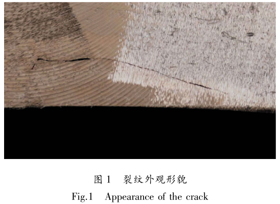 1672149731396748.jpg t1.jpg