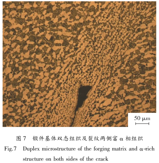 1672149861550509.jpg t7.jpg